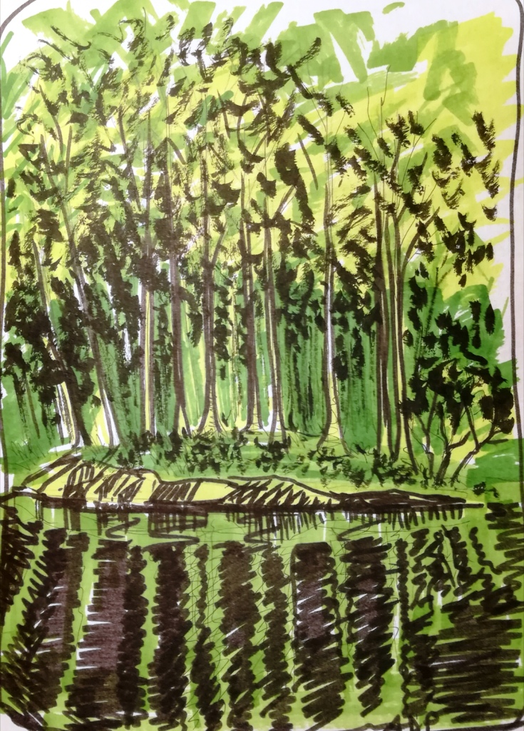 NUGAE - ALBERI - paesaggio - inchiostro e acquerello alessandra dell'anna peccarisi - artisti a firenze - opere d'arte - artist in florence - opere d'arte su commissione - ritratti su commissione